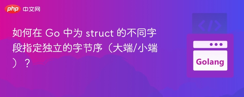 Go 中 struct 字段字节序设置方法