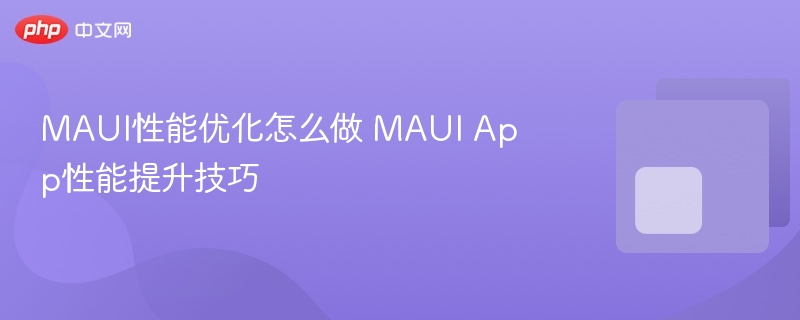 MAUI性能优化技巧分享