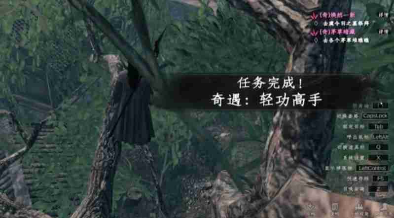 下一站江湖2轻功高手在哪 轻功高手具体位置详解