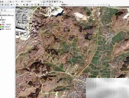 卫星影像助力智慧林业