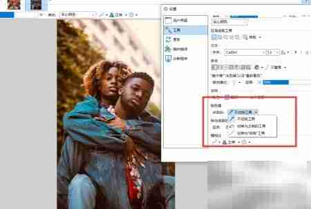 Paint.NET取色器设置方法