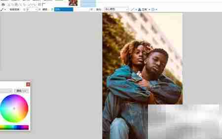 Paint.NET取色器设置方法