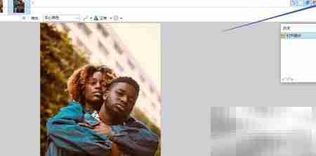 Paint.NET取色器设置方法