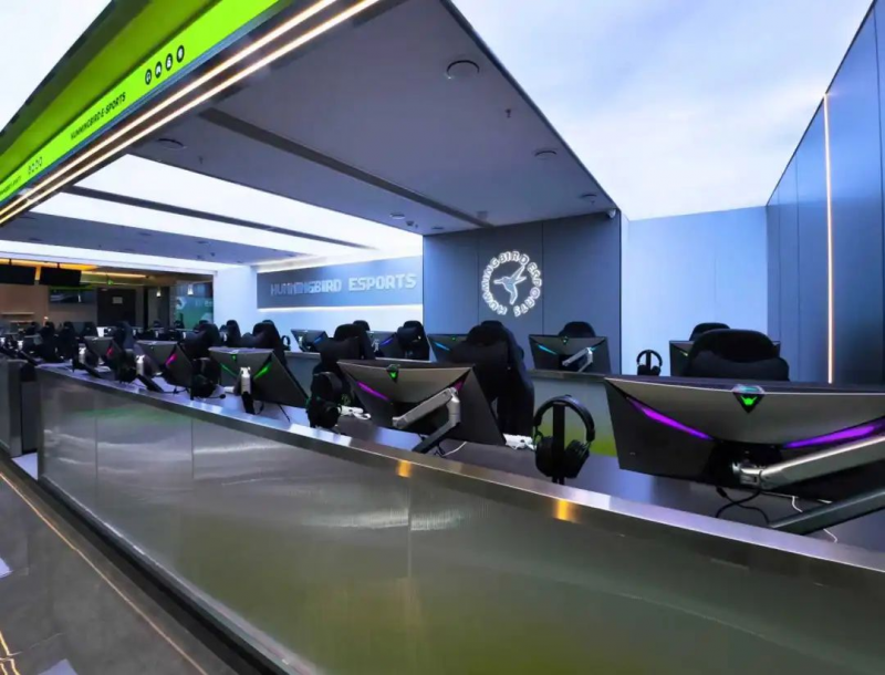 电竞蜂12强战队集结，福州战场对决开启