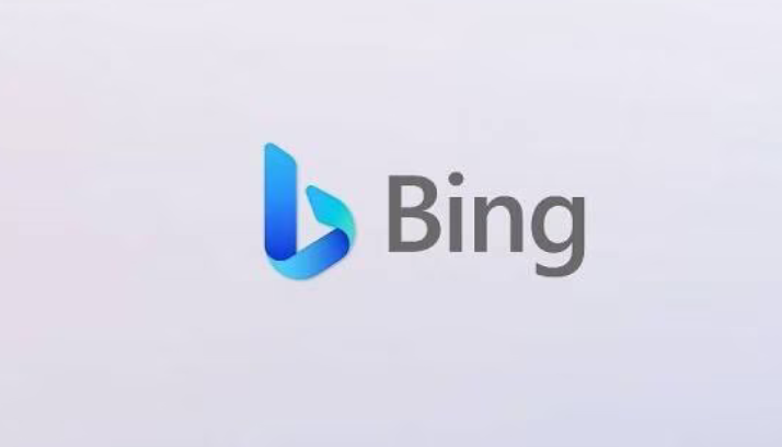 Bing搜索使用指南 附Bing官方免登录入口