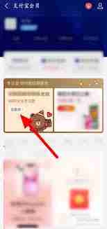 如何获取支付宝可爱洋兔付款码皮肤