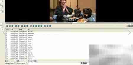 电影字幕制作入门指南