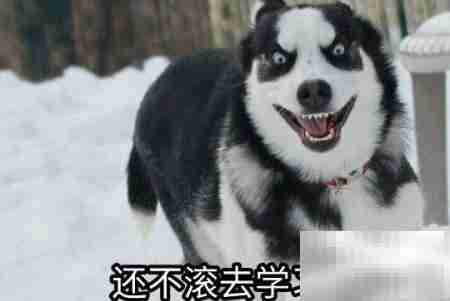 2020临床助理医师备考指南