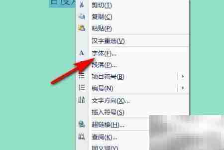 2010版Word文字处理技巧