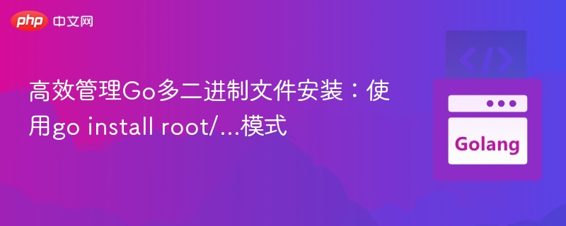 Go多二进制管理：go install root/...实用技巧