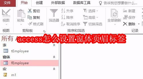 Access窗体页眉标签设置方法