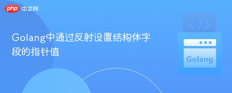 Golang反射设置结构体指针字段值方法
