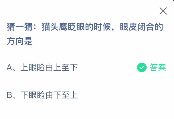 猜一猜猫头鹰眨眼的时候眼皮闭合的方向是