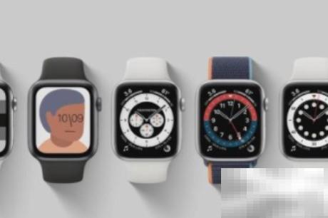 Apple Watch SE兼容iPad Pro吗