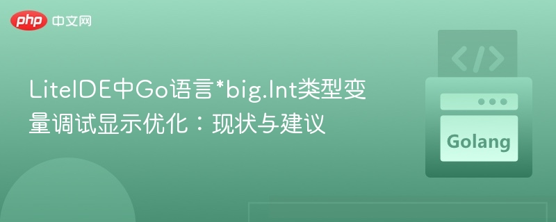 LiteIDE调试\*big.Int优化建议
