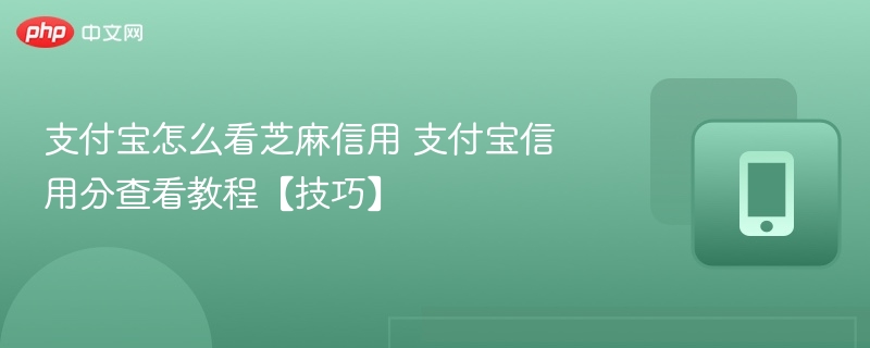 支付宝怎么看芝麻信用 支付宝信用分查看教程【技巧】