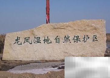 大庆必去景点推荐攻略