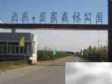 大庆旅游必去景点推荐