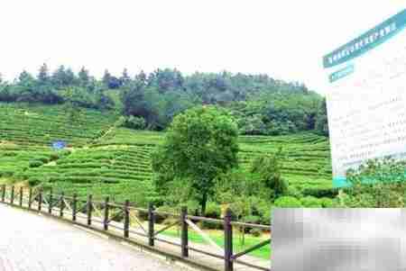 建设农业高新区策略