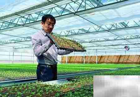 建设农业高新区策略