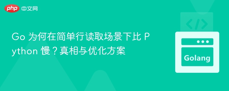 Go 为何在简单行读取场景下比 Python 慢？真相与优化方案
