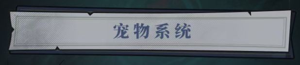 无限轮回宠物系统指南