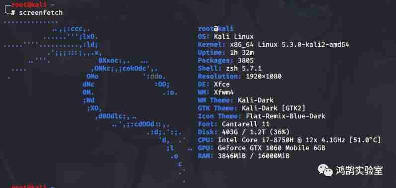 Kali Linux 2019.4 更新体验