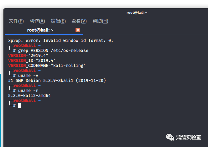 Kali Linux 2019.4 更新体验