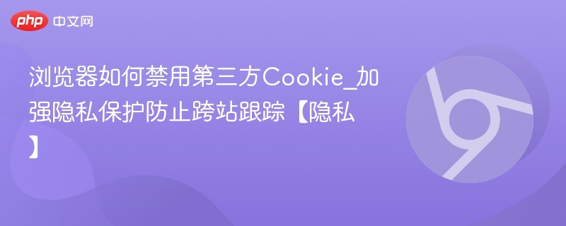 浏览器禁用第三方Cookie方法及隐私保护指南