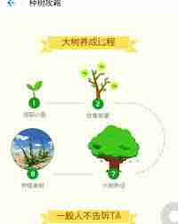 支付宝蚂蚁森林怎么涨得快