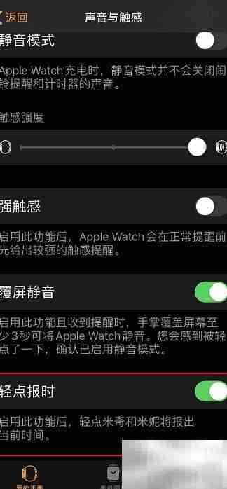 Apple Watch报时设置方法