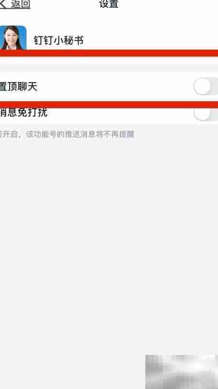 钉钉小秘书置顶聊天教程