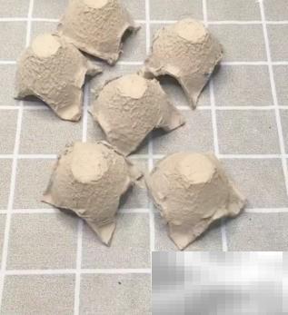 蛋托创意手工制作教程