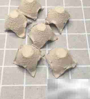 蛋托创意手工制作