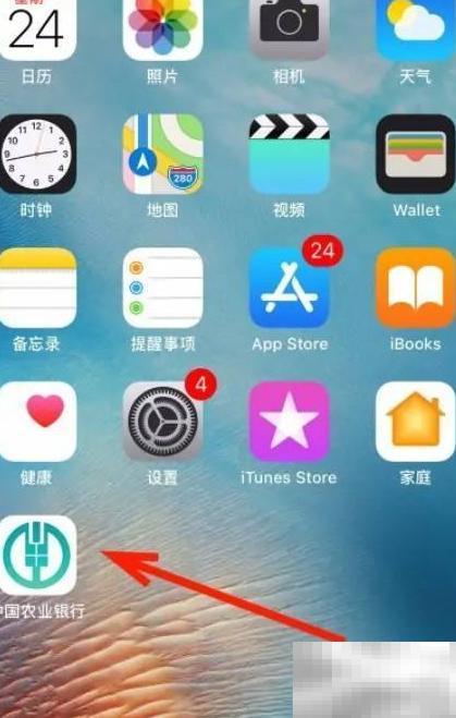 保险合同丢失怎么退保？