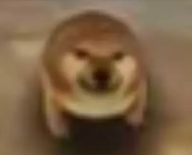 我的刀盾表情包图片大全