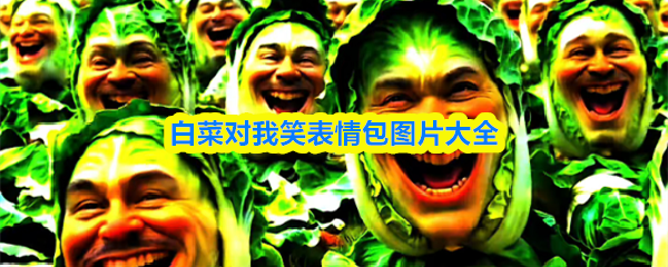 白菜对我笑表情包图片大全