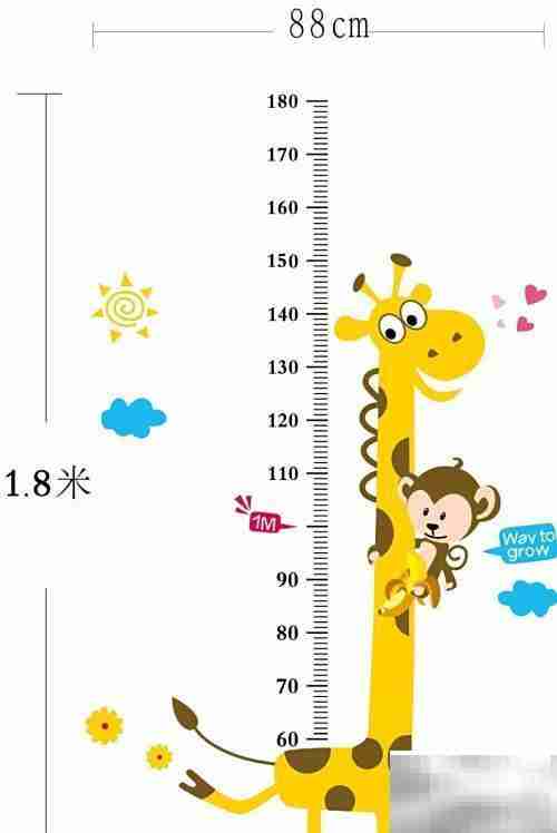 轻松计算你的BMI指数