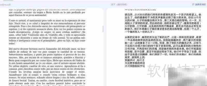 百度翻译上线西语新功能