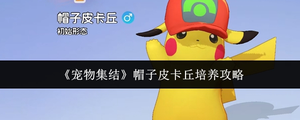 《宠物集结》帽子皮卡丘培养攻略