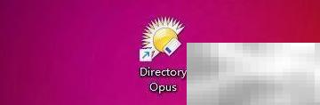 Directory Opus工具栏边框调整技巧