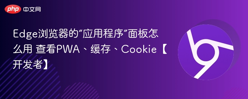 Edge浏览器的“应用程序”面板怎么用 查看PWA、缓存、Cookie【开发者】
