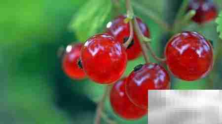 水果店生意好做吗？值得投资吗