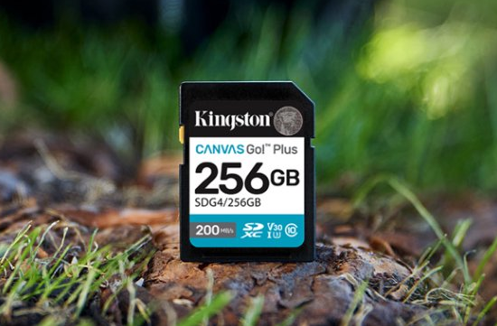 金士顿Canvas Go! Plus全能卡评测