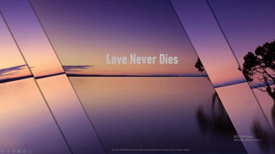 专业PPT设计展示 在线观看高品质成品