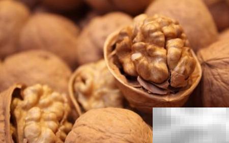 ACME抗疲劳茶食分享与评测