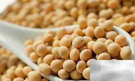 ACME分享抗疲劳茶食