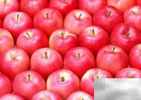 ACME分享抗疲劳茶食