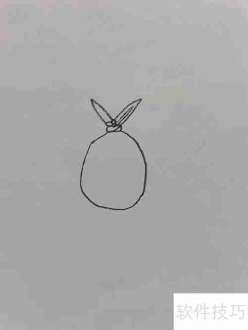 越狱兔：简单又可爱的兔子画法教程