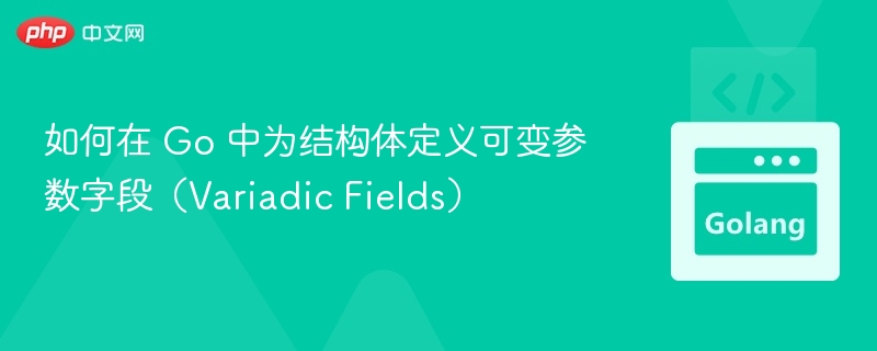 Go 中如何定义结构体可变参数字段